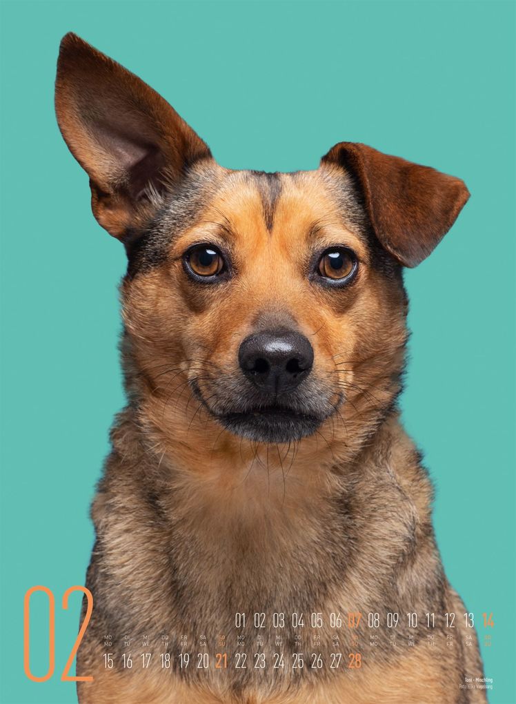Weitere Ansicht: Frei Schnauze Kalender 2027 | Elke Vogelsang, Ackermann Kunstverlag GmbH