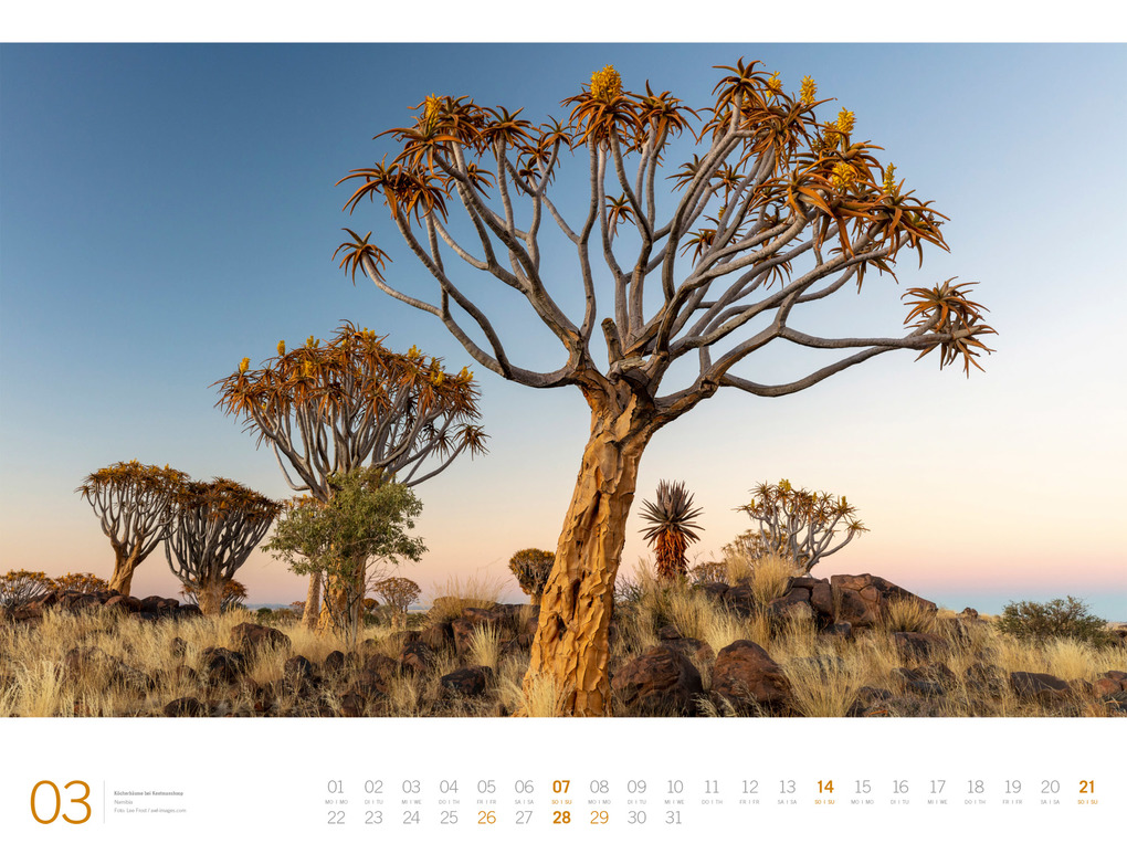 Weitere Ansicht: Afrika Gallery Kalender 2027 | Ackermann Kunstverlag GmbH
