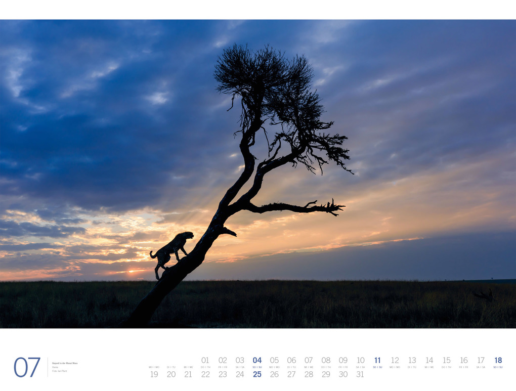 Weitere Ansicht: Afrika Gallery Kalender 2027 | Ackermann Kunstverlag GmbH