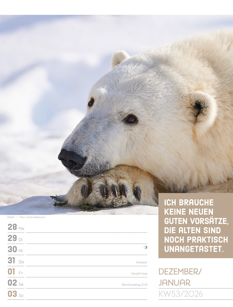 Weitere Ansicht: Tierisch Sprüchekalender Wochenplaner 2027 | Ackermann Kunstverlag GmbH