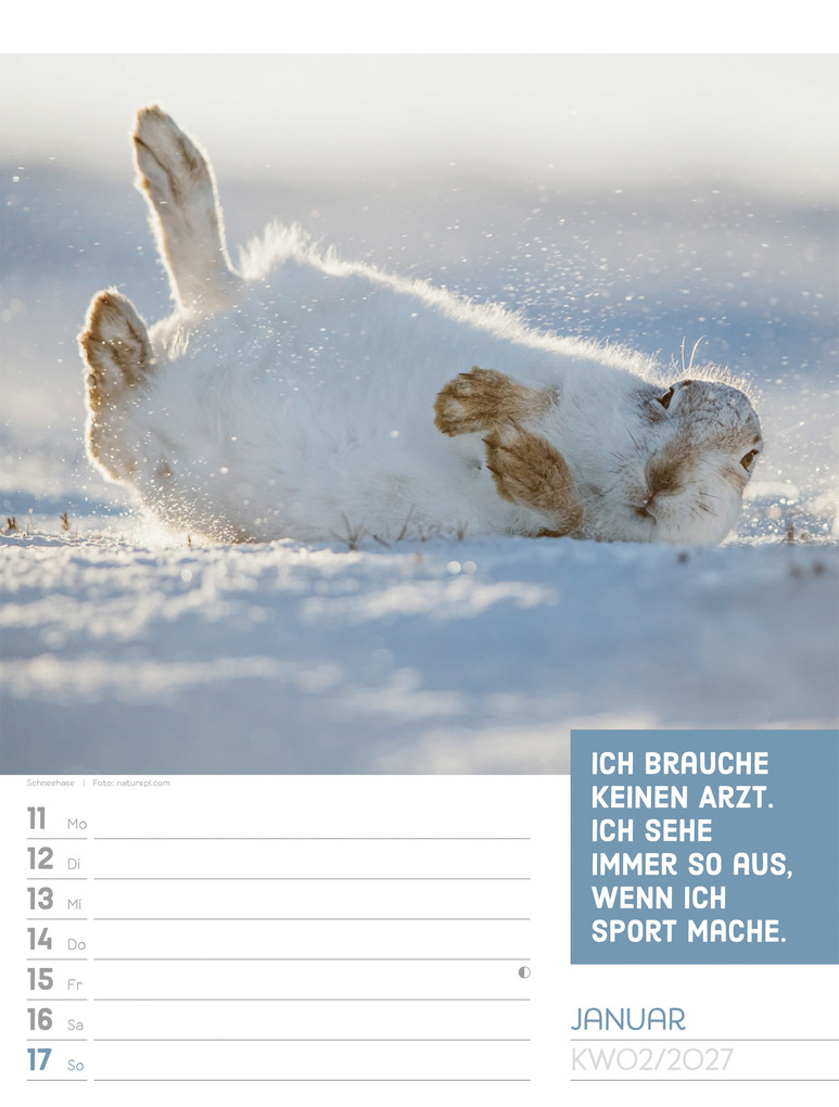 Weitere Ansicht: Tierisch Sprüchekalender Wochenplaner 2027 | Ackermann Kunstverlag GmbH