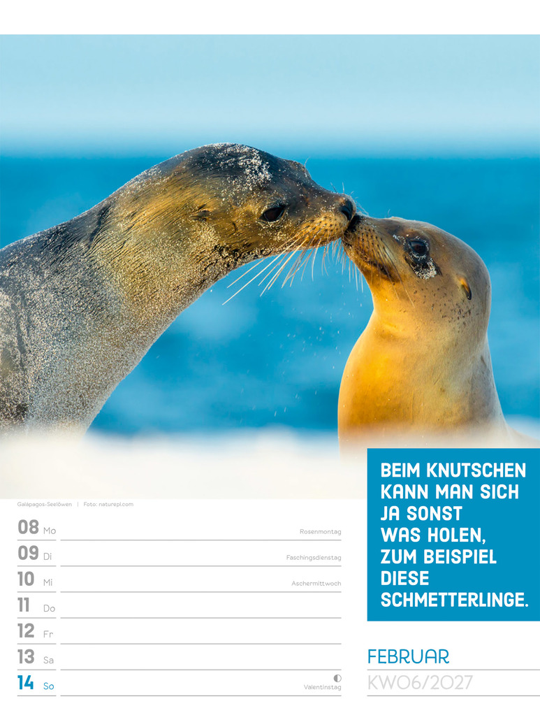 Weitere Ansicht: Tierisch Sprüchekalender Wochenplaner 2027 | Ackermann Kunstverlag GmbH