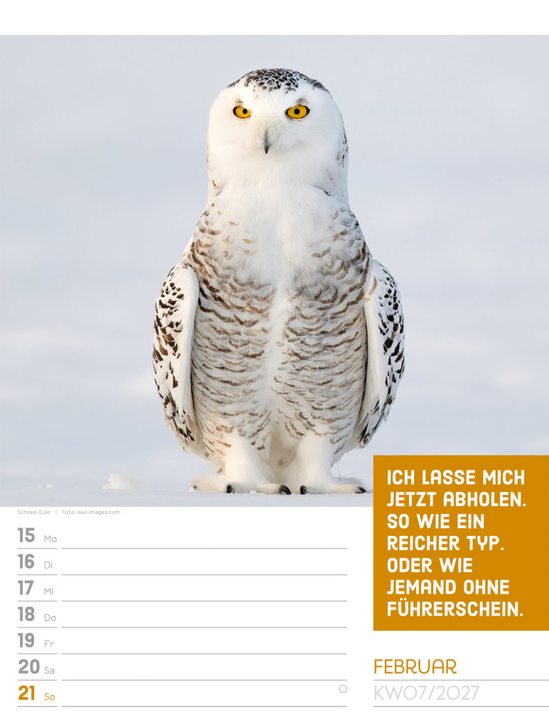 Weitere Ansicht: Tierisch Sprüchekalender Wochenplaner 2027 | Ackermann Kunstverlag GmbH