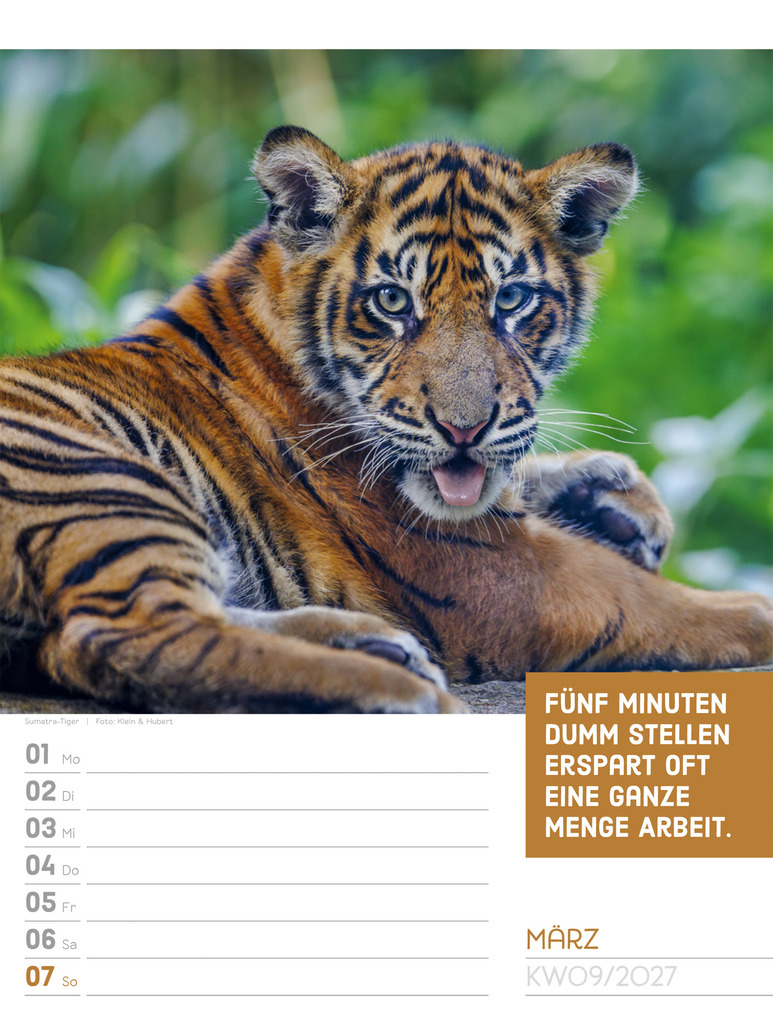 Weitere Ansicht: Tierisch Sprüchekalender Wochenplaner 2027 | Ackermann Kunstverlag GmbH