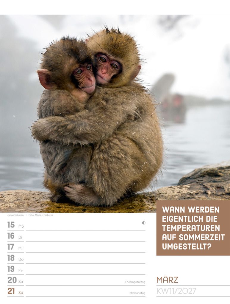 Weitere Ansicht: Tierisch Sprüchekalender Wochenplaner 2027 | Ackermann Kunstverlag GmbH
