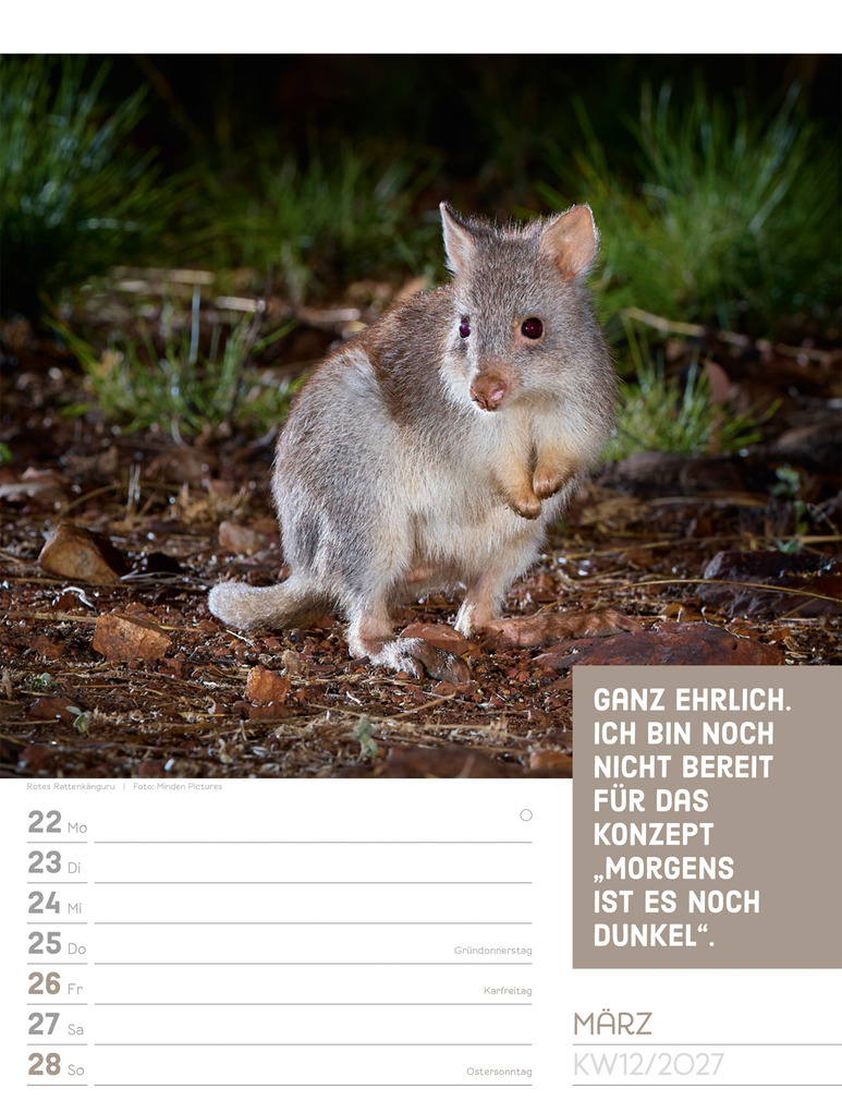Weitere Ansicht: Tierisch Sprüchekalender Wochenplaner 2027 | Ackermann Kunstverlag GmbH