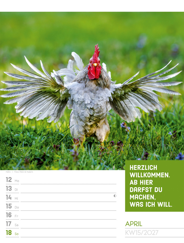 Weitere Ansicht: Tierisch Sprüchekalender Wochenplaner 2027 | Ackermann Kunstverlag GmbH