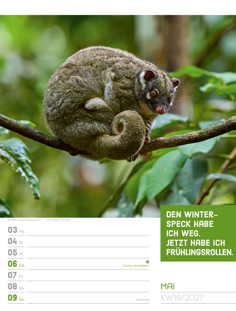 Weitere Ansicht: Tierisch Sprüchekalender Wochenplaner 2027 | Ackermann Kunstverlag GmbH