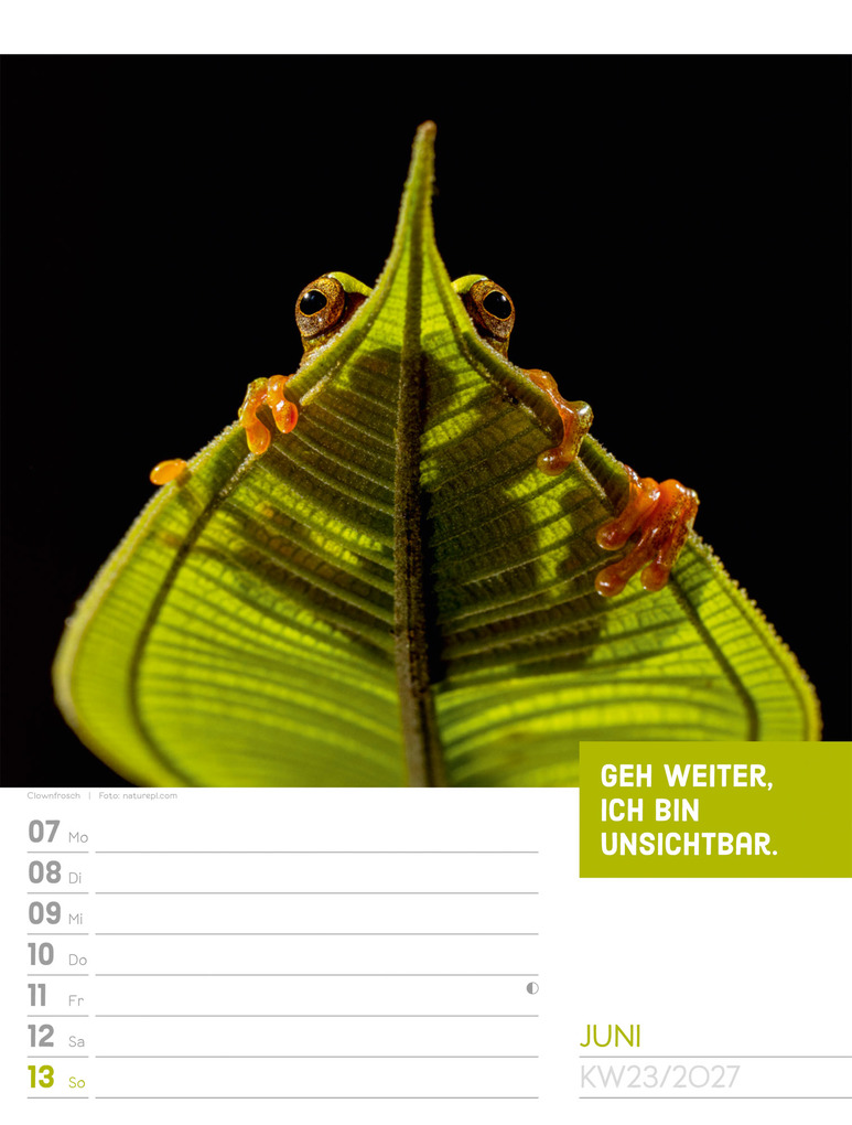 Weitere Ansicht: Tierisch Sprüchekalender Wochenplaner 2027 | Ackermann Kunstverlag GmbH