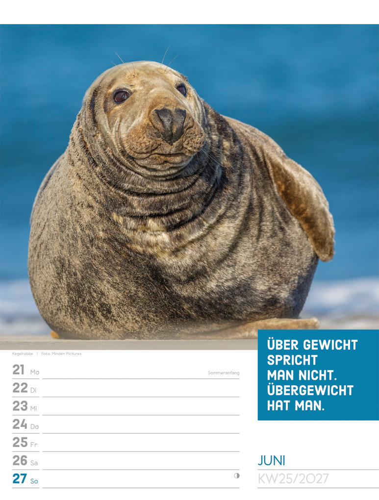 Weitere Ansicht: Tierisch Sprüchekalender Wochenplaner 2027 | Ackermann Kunstverlag GmbH