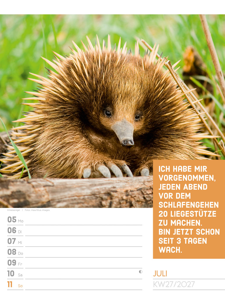 Weitere Ansicht: Tierisch Sprüchekalender Wochenplaner 2027 | Ackermann Kunstverlag GmbH
