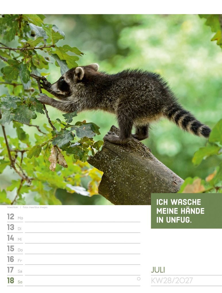 Weitere Ansicht: Tierisch Sprüchekalender Wochenplaner 2027 | Ackermann Kunstverlag GmbH