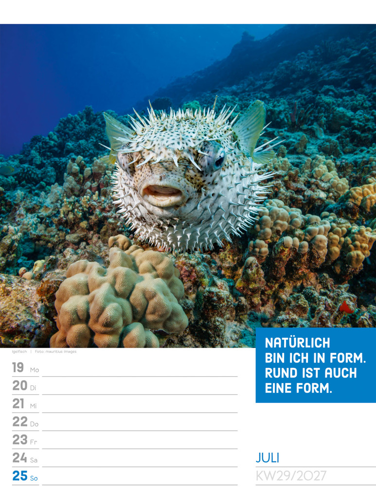 Weitere Ansicht: Tierisch Sprüchekalender Wochenplaner 2027 | Ackermann Kunstverlag GmbH