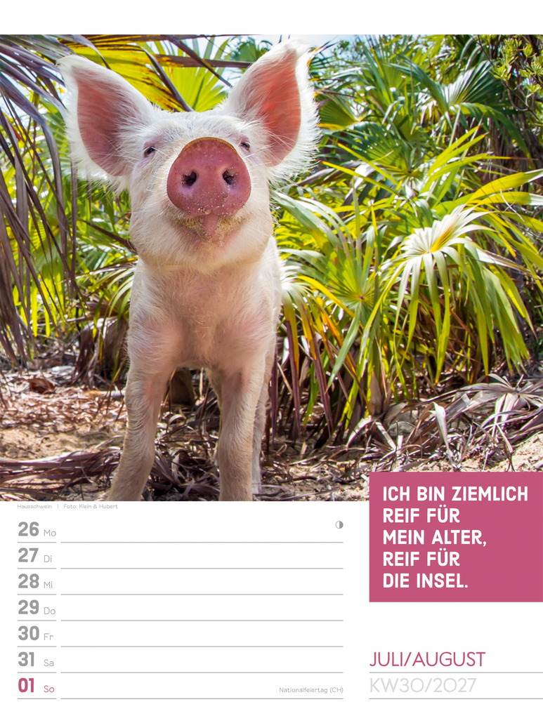 Weitere Ansicht: Tierisch Sprüchekalender Wochenplaner 2027 | Ackermann Kunstverlag GmbH