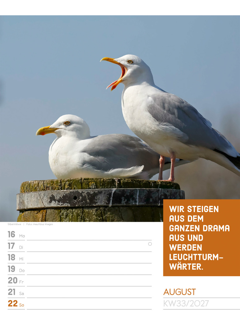 Weitere Ansicht: Tierisch Sprüchekalender Wochenplaner 2027 | Ackermann Kunstverlag GmbH
