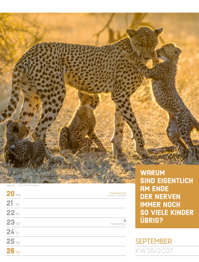 Weitere Ansicht: Tierisch Sprüchekalender Wochenplaner 2027 | Ackermann Kunstverlag GmbH