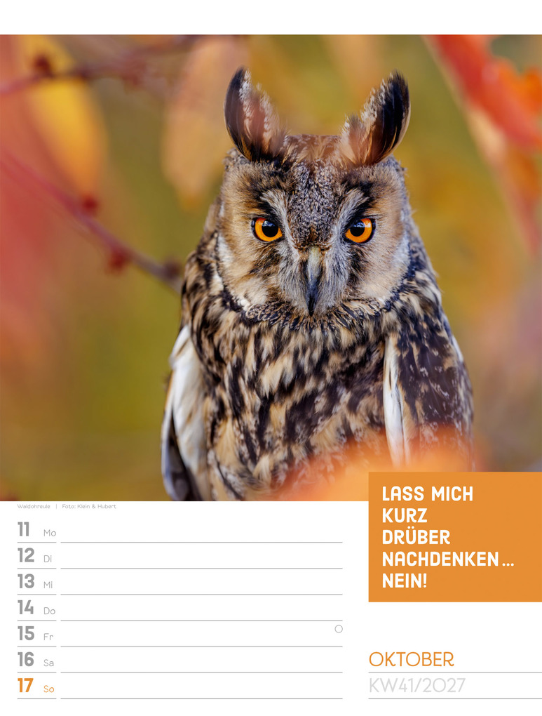 Weitere Ansicht: Tierisch Sprüchekalender Wochenplaner 2027 | Ackermann Kunstverlag GmbH
