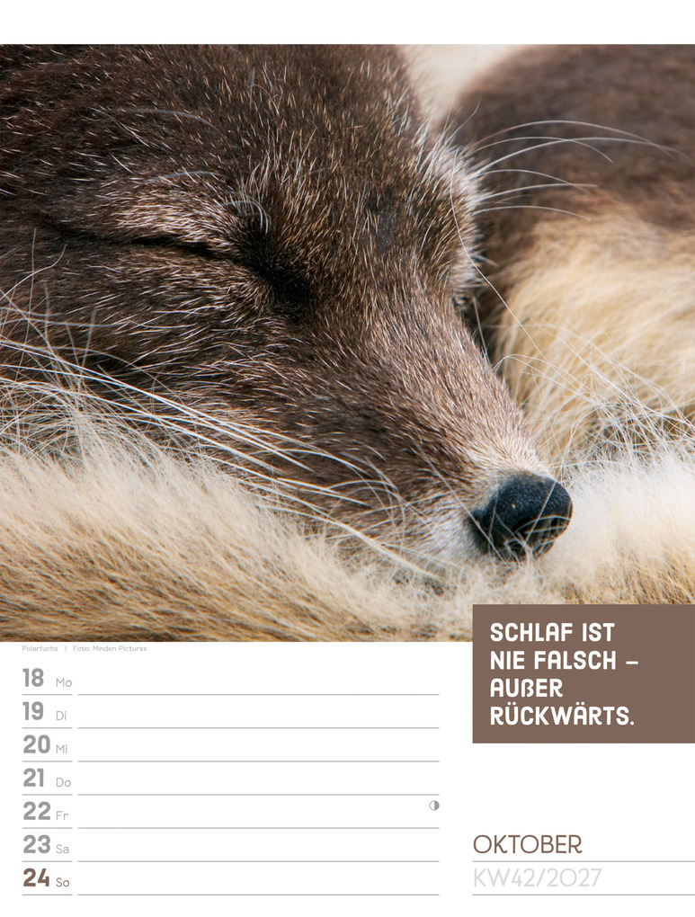 Weitere Ansicht: Tierisch Sprüchekalender Wochenplaner 2027 | Ackermann Kunstverlag GmbH