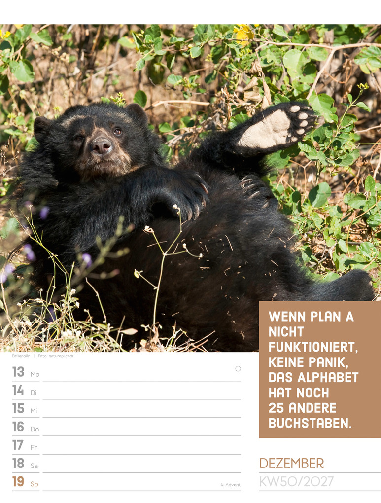 Weitere Ansicht: Tierisch Sprüchekalender Wochenplaner 2027 | Ackermann Kunstverlag GmbH