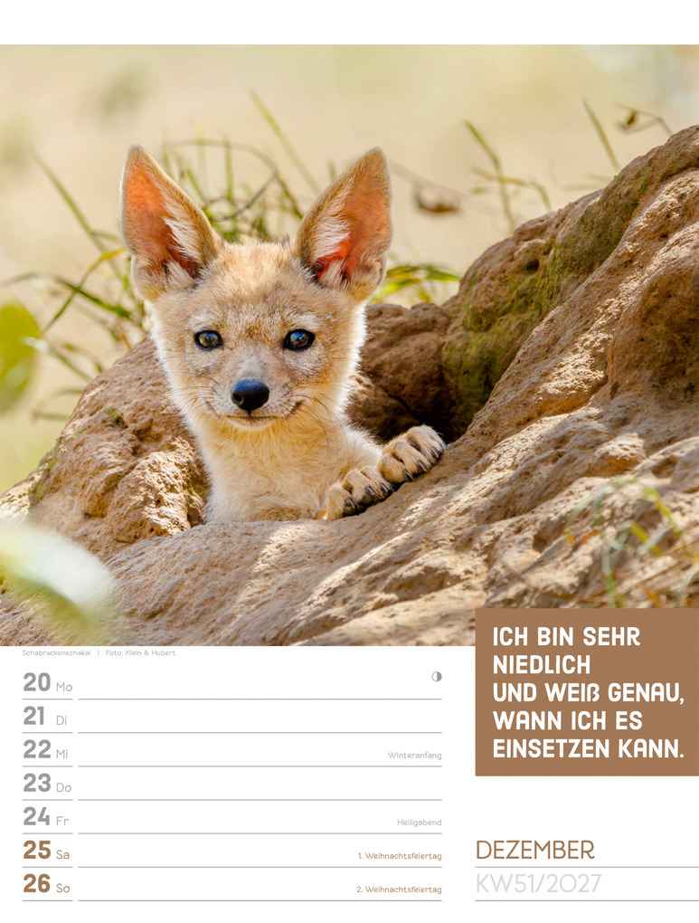 Weitere Ansicht: Tierisch Sprüchekalender Wochenplaner 2027 | Ackermann Kunstverlag GmbH
