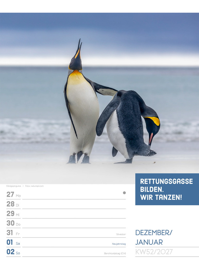 Weitere Ansicht: Tierisch Sprüchekalender Wochenplaner 2027 | Ackermann Kunstverlag GmbH