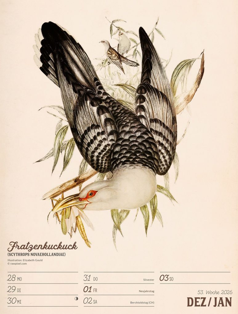Weitere Ansicht: Wunderbare Vogelwelt Wochenplaner Kalender 2027 | Ackermann Kunstverlag GmbH