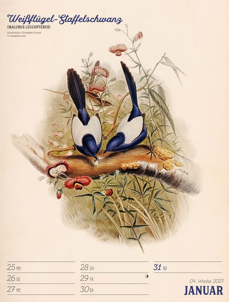 Weitere Ansicht: Wunderbare Vogelwelt Wochenplaner Kalender 2027 | Ackermann Kunstverlag GmbH