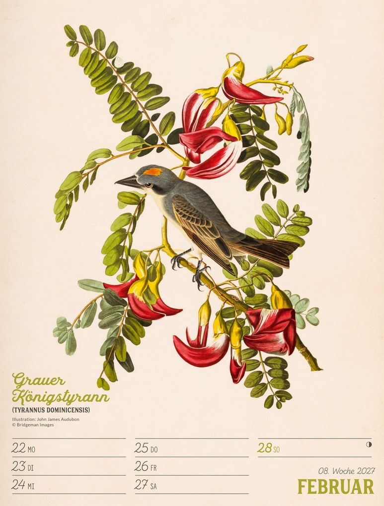 Weitere Ansicht: Wunderbare Vogelwelt Wochenplaner Kalender 2027 | Ackermann Kunstverlag GmbH