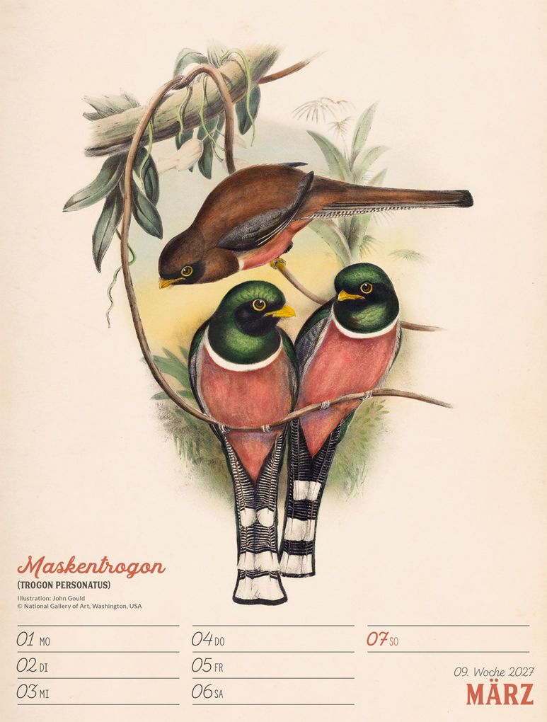 Weitere Ansicht: Wunderbare Vogelwelt Wochenplaner Kalender 2027 | Ackermann Kunstverlag GmbH