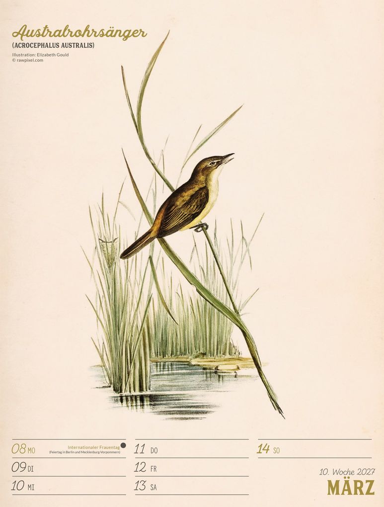 Weitere Ansicht: Wunderbare Vogelwelt Wochenplaner Kalender 2027 | Ackermann Kunstverlag GmbH