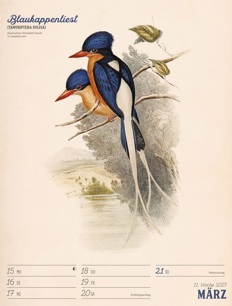 Weitere Ansicht: Wunderbare Vogelwelt Wochenplaner Kalender 2027 | Ackermann Kunstverlag GmbH