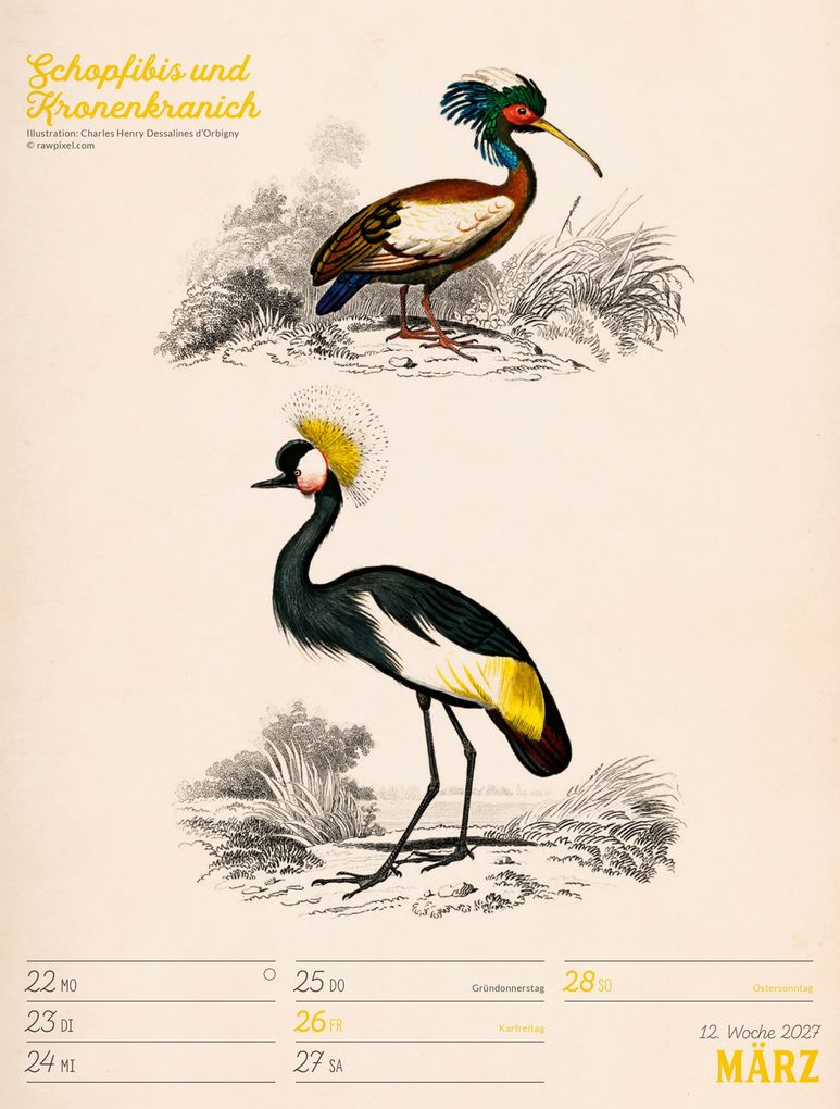 Weitere Ansicht: Wunderbare Vogelwelt Wochenplaner Kalender 2027 | Ackermann Kunstverlag GmbH