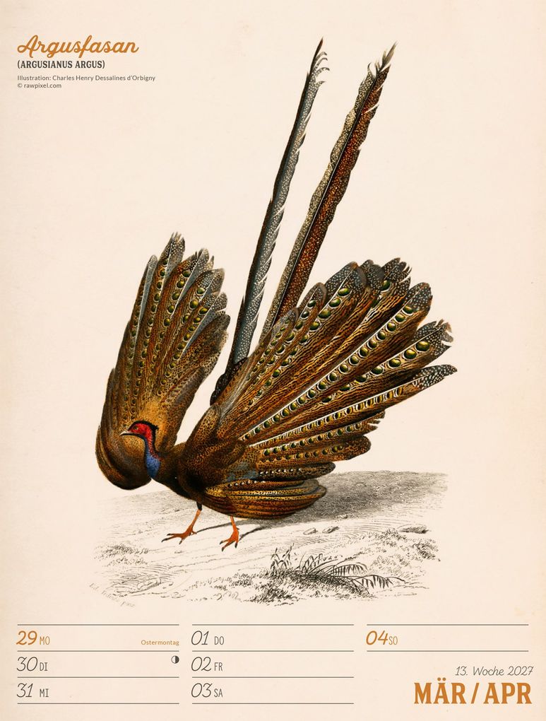 Weitere Ansicht: Wunderbare Vogelwelt Wochenplaner Kalender 2027 | Ackermann Kunstverlag GmbH