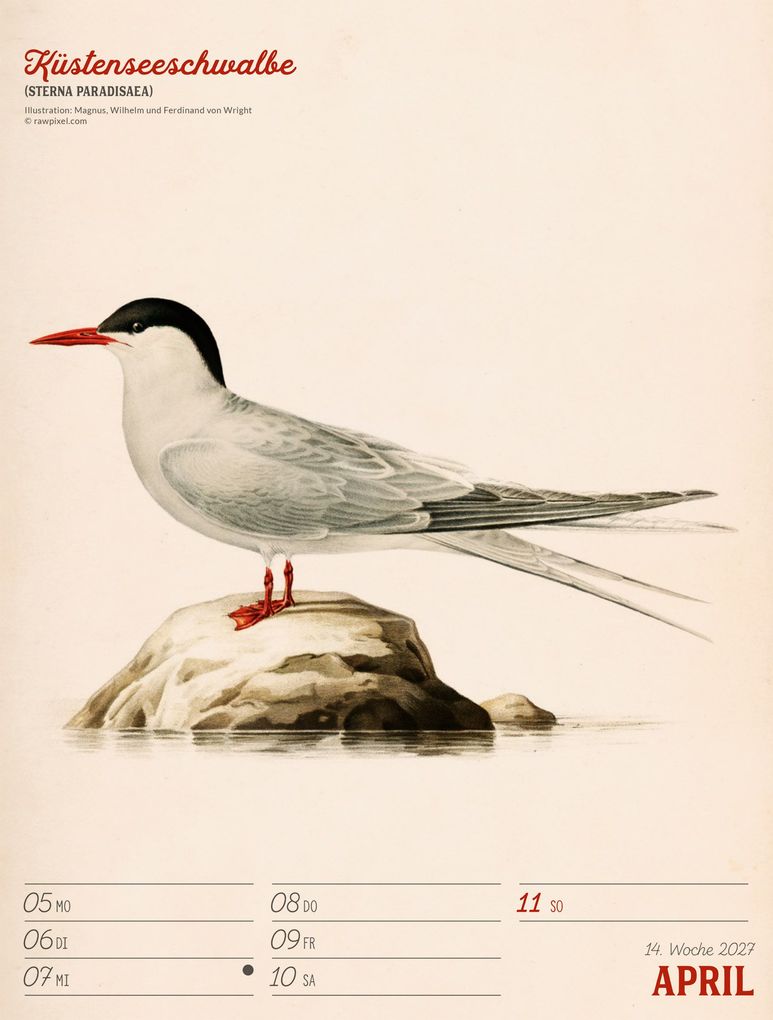 Weitere Ansicht: Wunderbare Vogelwelt Wochenplaner Kalender 2027 | Ackermann Kunstverlag GmbH