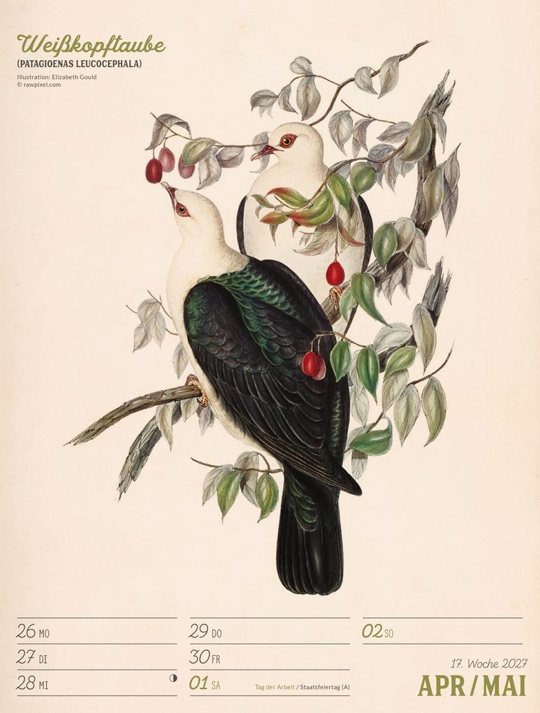 Weitere Ansicht: Wunderbare Vogelwelt Wochenplaner Kalender 2027 | Ackermann Kunstverlag GmbH