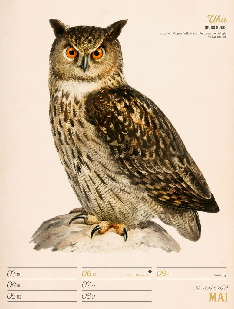 Weitere Ansicht: Wunderbare Vogelwelt Wochenplaner Kalender 2027 | Ackermann Kunstverlag GmbH