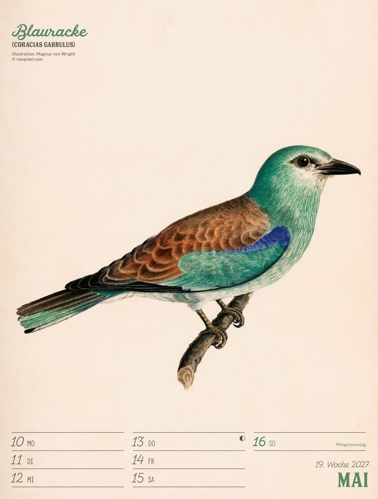 Weitere Ansicht: Wunderbare Vogelwelt Wochenplaner Kalender 2027 | Ackermann Kunstverlag GmbH