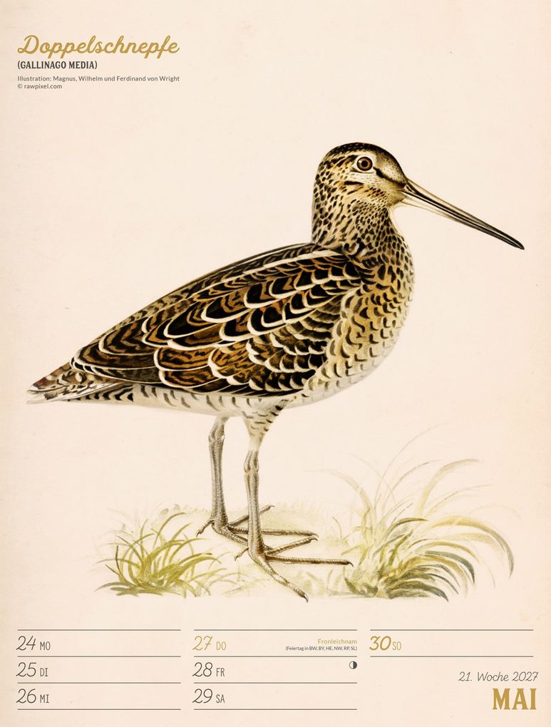 Weitere Ansicht: Wunderbare Vogelwelt Wochenplaner Kalender 2027 | Ackermann Kunstverlag GmbH