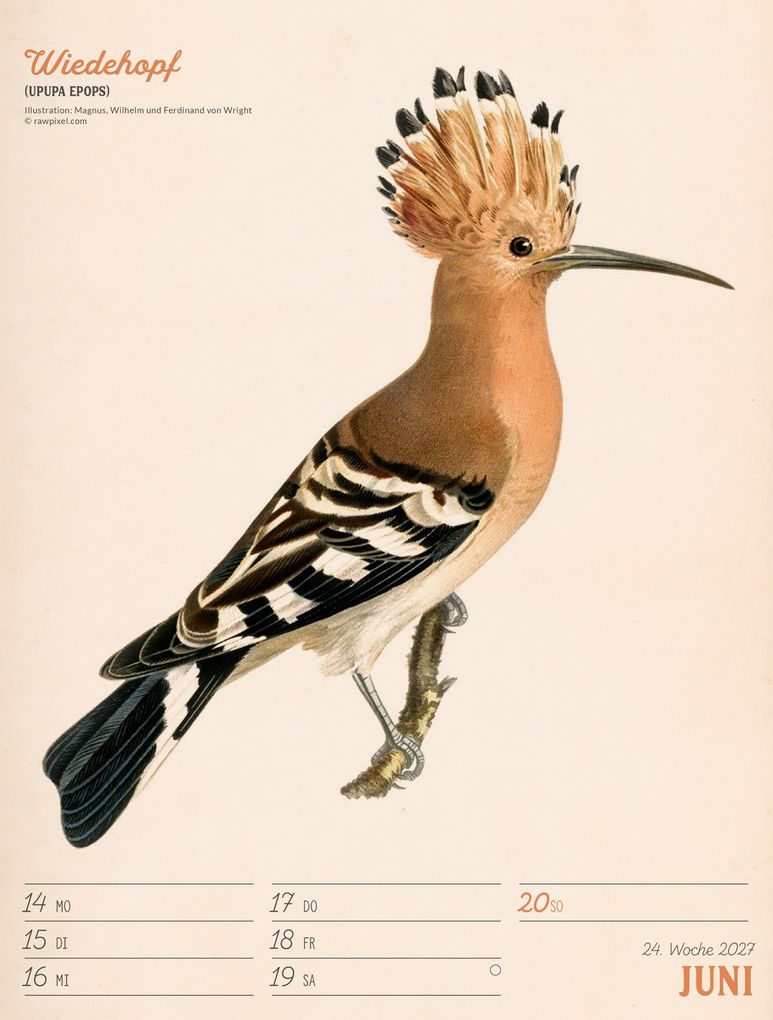 Weitere Ansicht: Wunderbare Vogelwelt Wochenplaner Kalender 2027 | Ackermann Kunstverlag GmbH