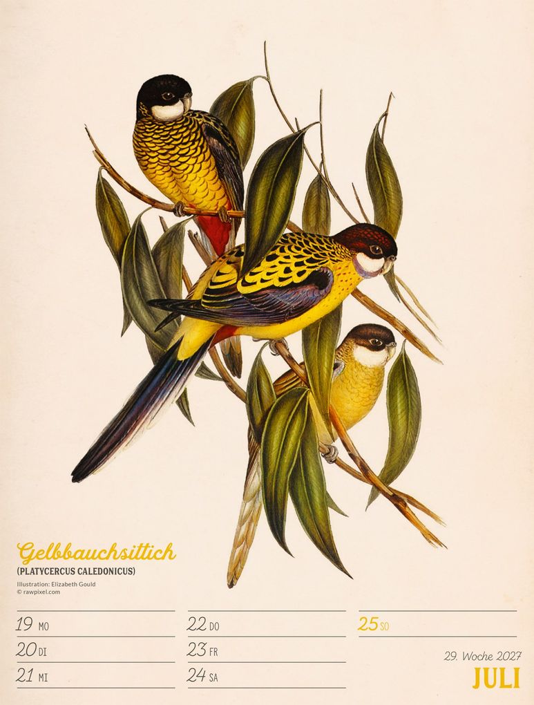 Weitere Ansicht: Wunderbare Vogelwelt Wochenplaner Kalender 2027 | Ackermann Kunstverlag GmbH
