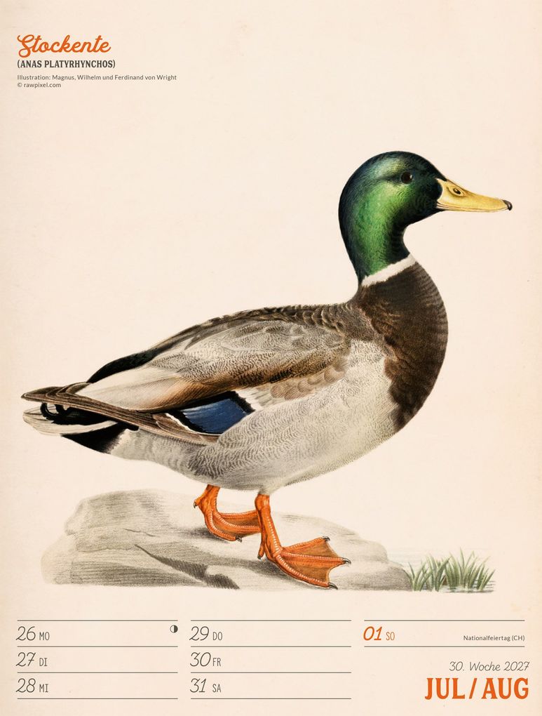 Weitere Ansicht: Wunderbare Vogelwelt Wochenplaner Kalender 2027 | Ackermann Kunstverlag GmbH