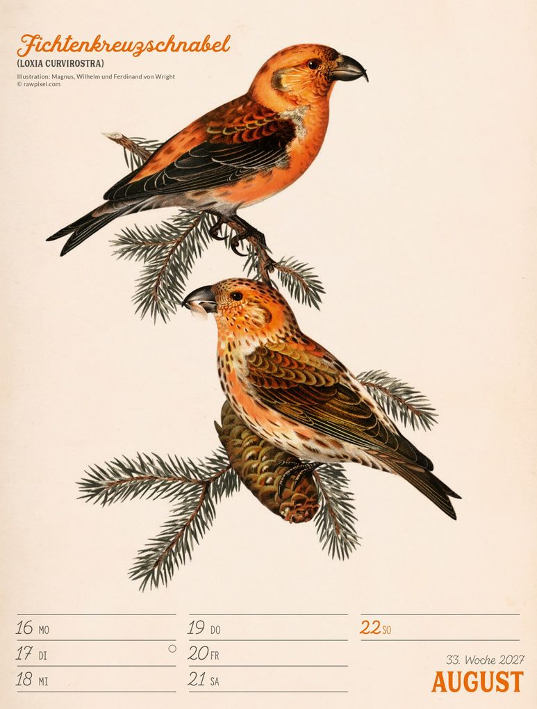 Weitere Ansicht: Wunderbare Vogelwelt Wochenplaner Kalender 2027 | Ackermann Kunstverlag GmbH