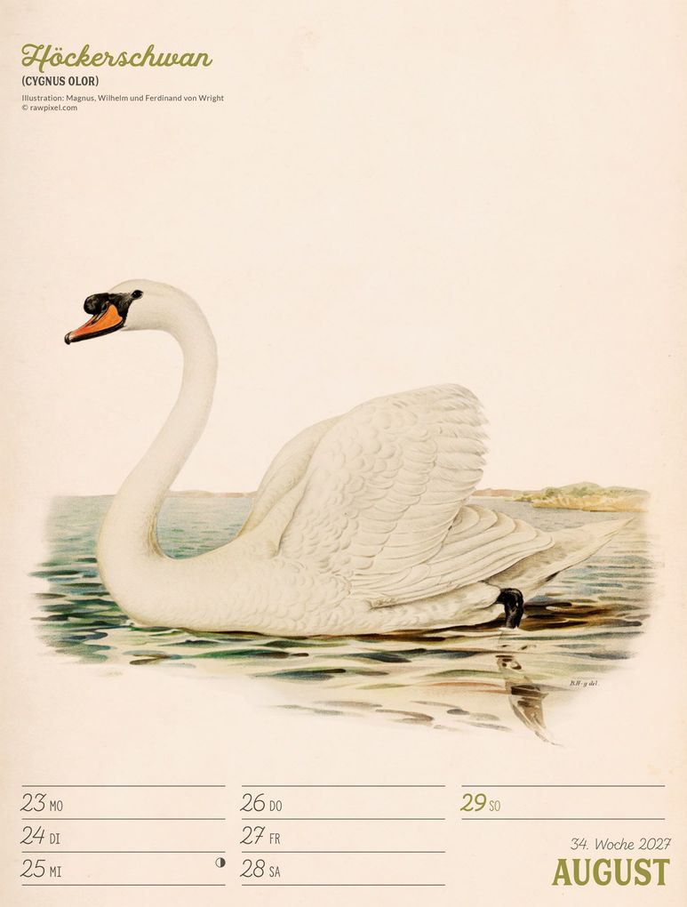 Weitere Ansicht: Wunderbare Vogelwelt Wochenplaner Kalender 2027 | Ackermann Kunstverlag GmbH
