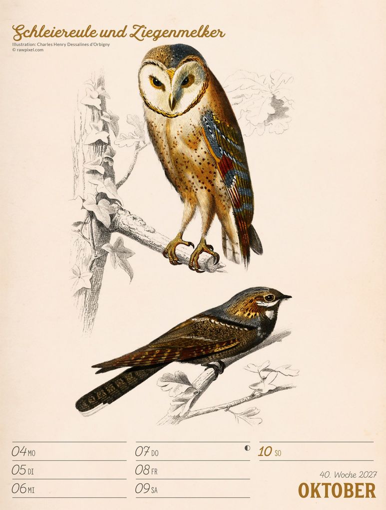 Weitere Ansicht: Wunderbare Vogelwelt Wochenplaner Kalender 2027 | Ackermann Kunstverlag GmbH