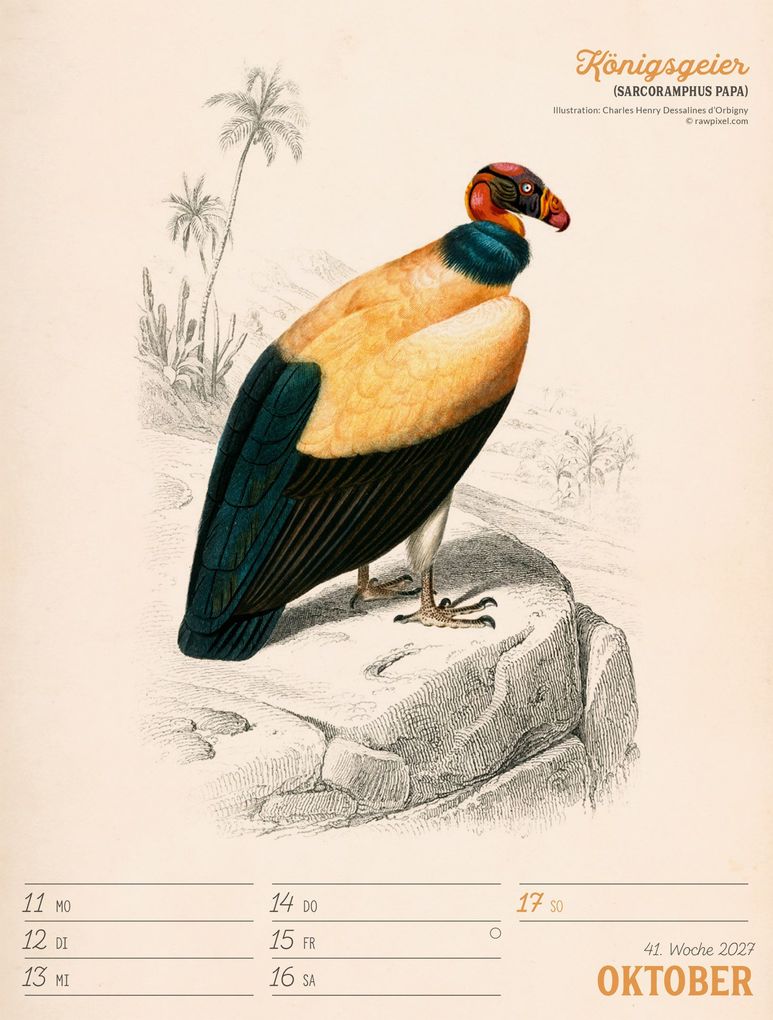 Weitere Ansicht: Wunderbare Vogelwelt Wochenplaner Kalender 2027 | Ackermann Kunstverlag GmbH
