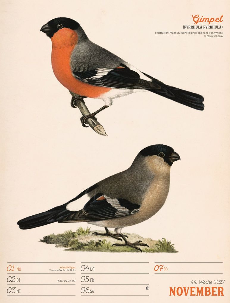 Weitere Ansicht: Wunderbare Vogelwelt Wochenplaner Kalender 2027 | Ackermann Kunstverlag GmbH