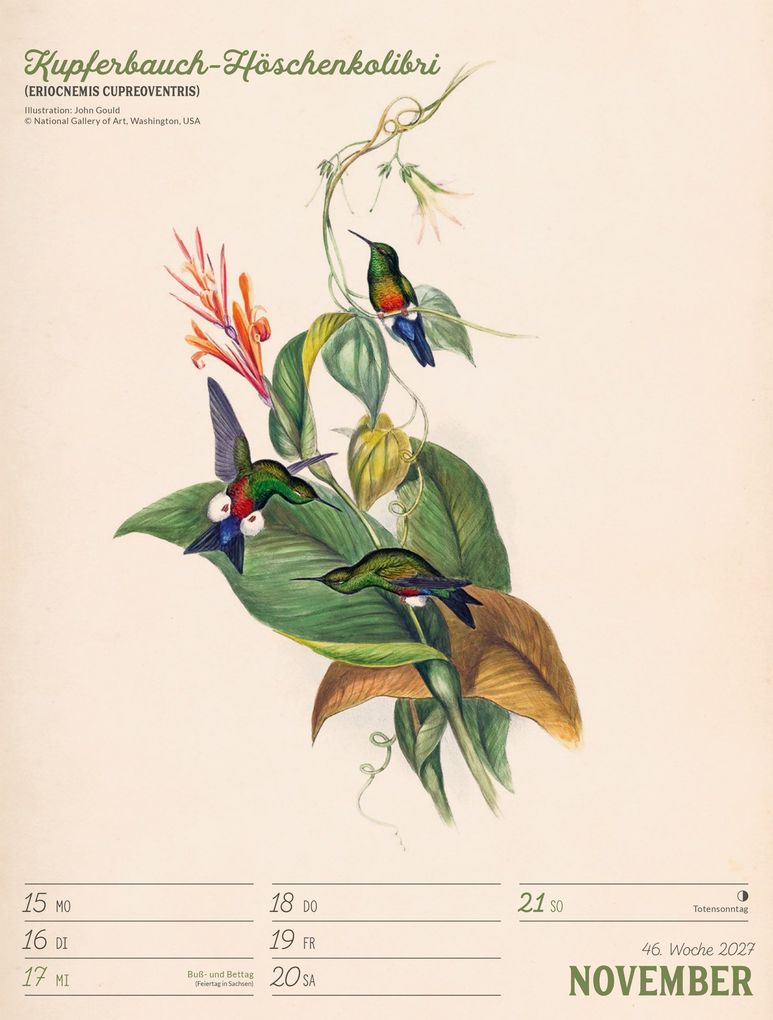 Weitere Ansicht: Wunderbare Vogelwelt Wochenplaner Kalender 2027 | Ackermann Kunstverlag GmbH