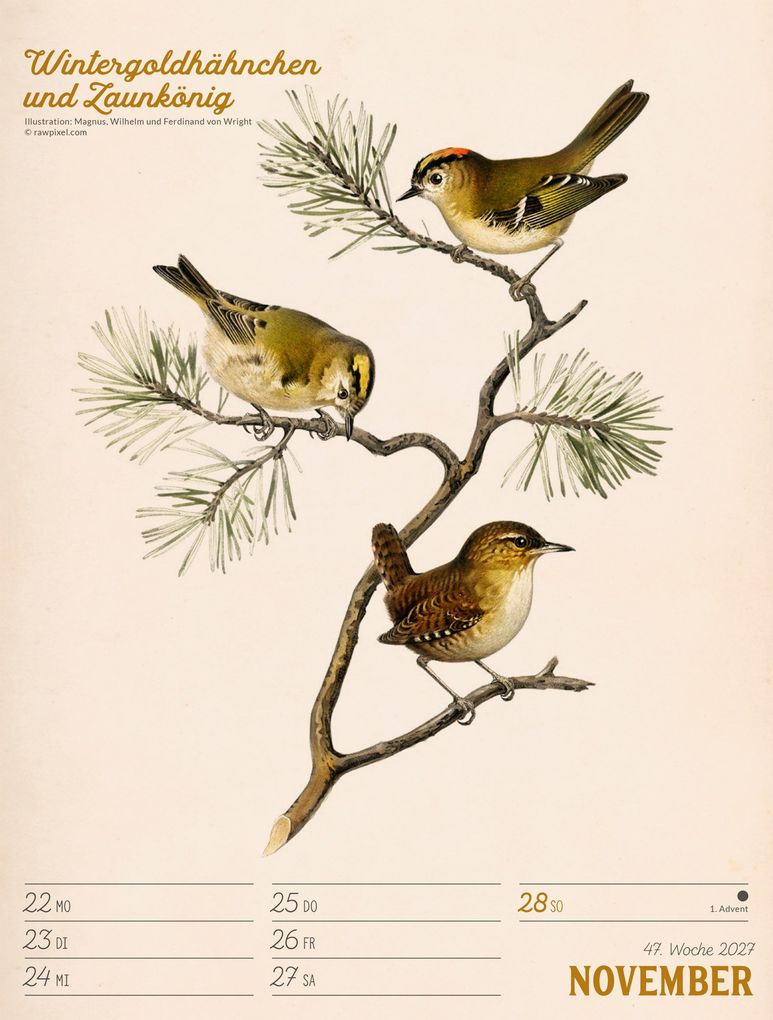 Weitere Ansicht: Wunderbare Vogelwelt Wochenplaner Kalender 2027 | Ackermann Kunstverlag GmbH