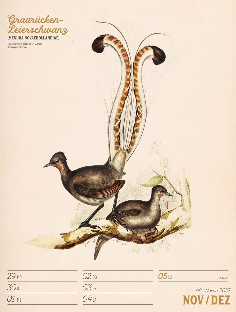 Weitere Ansicht: Wunderbare Vogelwelt Wochenplaner Kalender 2027 | Ackermann Kunstverlag GmbH