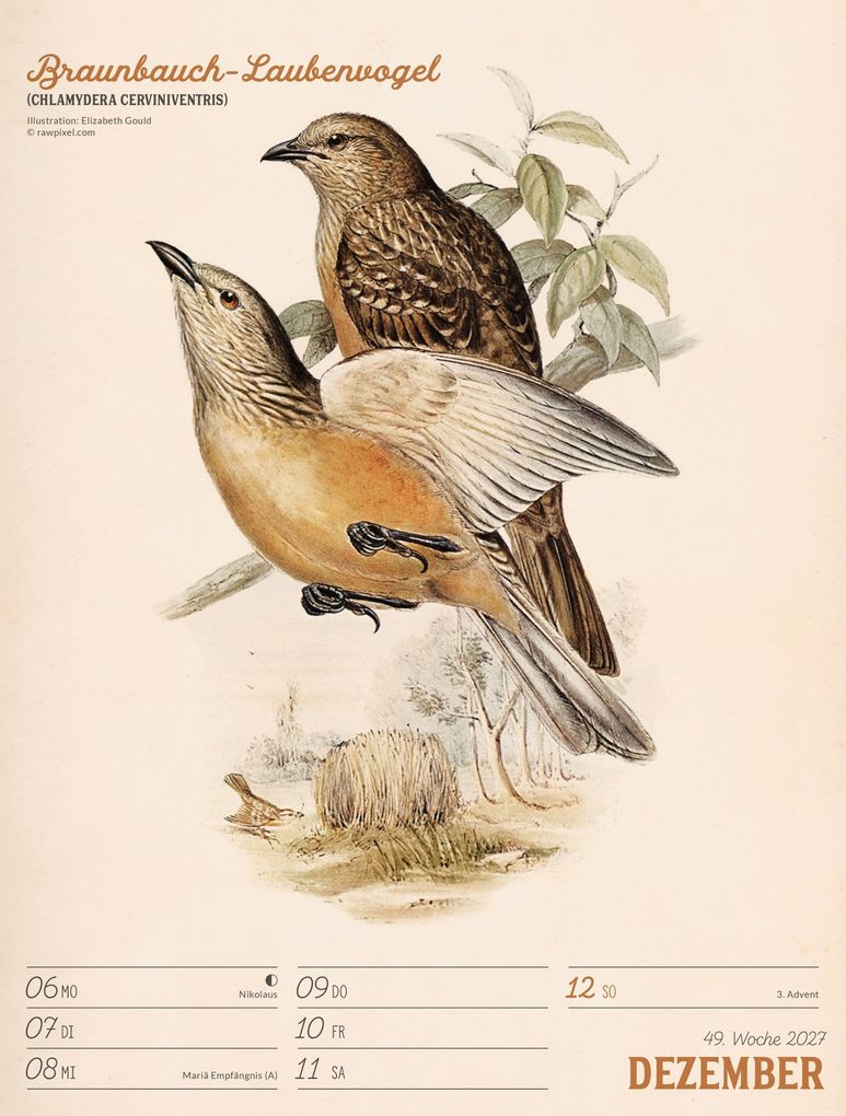 Weitere Ansicht: Wunderbare Vogelwelt Wochenplaner Kalender 2027 | Ackermann Kunstverlag GmbH